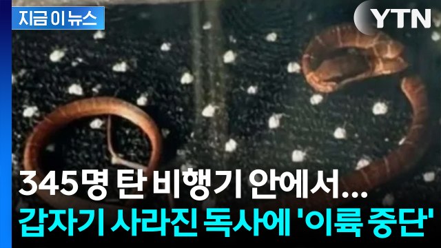 기계 장치 속으로 실종 … 영국 공항 발칵 뒤집은 '초유의 셧다운' [지금이뉴스] / YTN