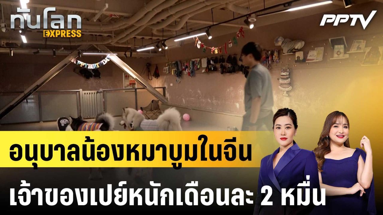 อนุบาลน้องหมาบูมในจีน เจ้าของเปย์หนักเดือนละ 2 หมื่น|ทันโลก EXPRESS |18 มิ.ย. 69