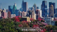 越秀山下，读懂广州——纪录片《越秀山下》