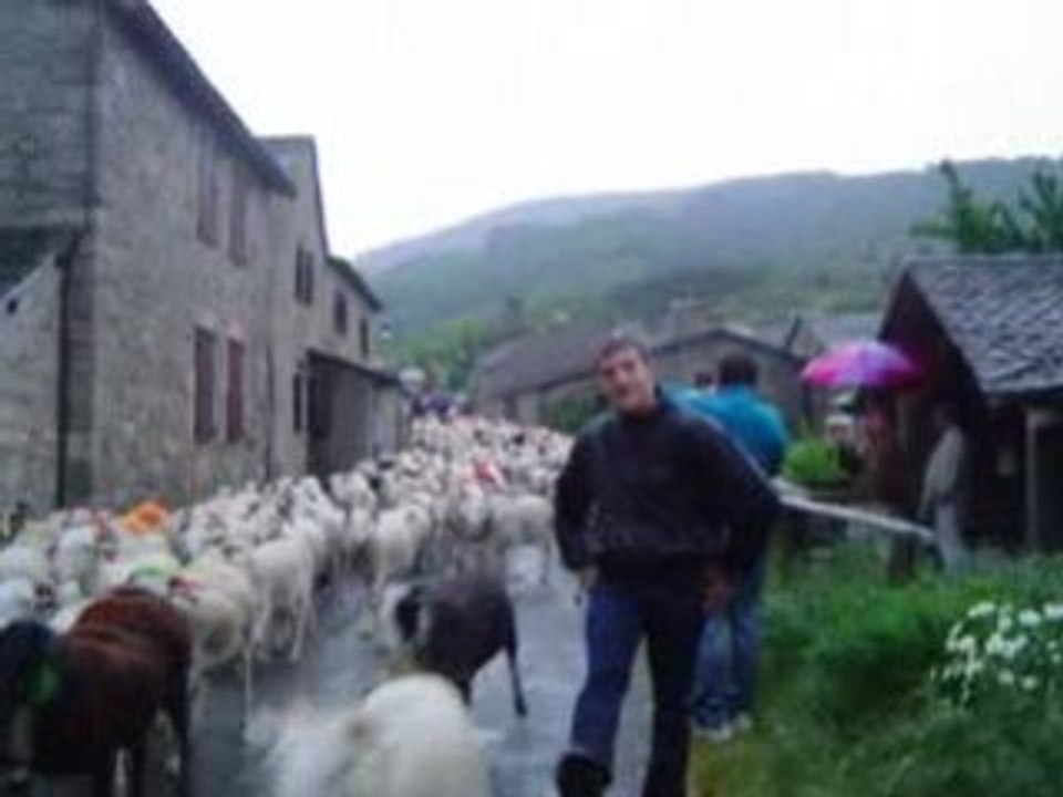 Transhumance 2004