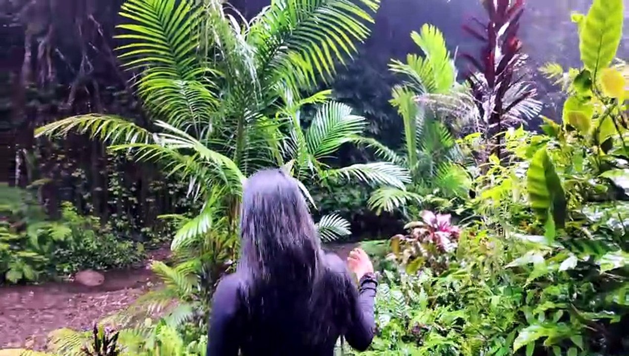 JALAN JALAN KE AIR TERJUN TERSEMBUNYI SEPI SUNYI🍁