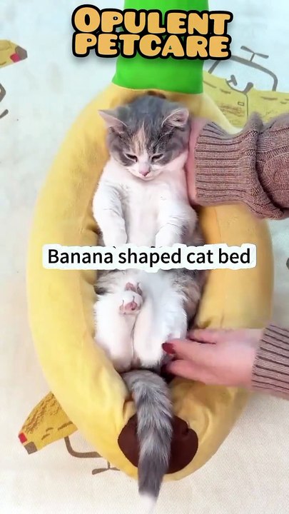 Banana Bed