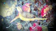 Ceyran (49)