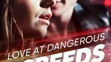 #ReelShort Love at Dangerous Speeds | Fast Cars, Faster Hearts | English Sub