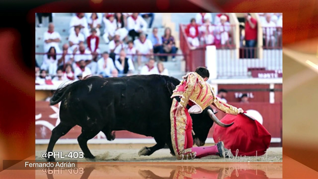 Fernando Adrián, torero madrileño que este 2026 abría su cuarta puerta grande en Madrid. En 2025 indultaba tres toros en Cuenca, Sabiote y Pontevedra