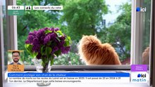 18/06/2026 - ici matin par ici Orléans en vidéo