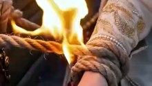 عروسُ التنين
