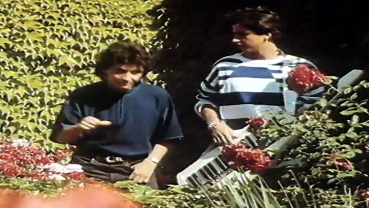 DAVID ET JONATHAN — “Bella vita” · (1986) – (D. Marouani / O. Languatin) | NOS PLUS BELLES ANNÉES 80 · (DVD 1)