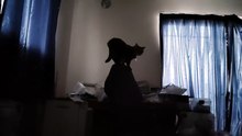 ゲーミングチェアの上に立つシフォン