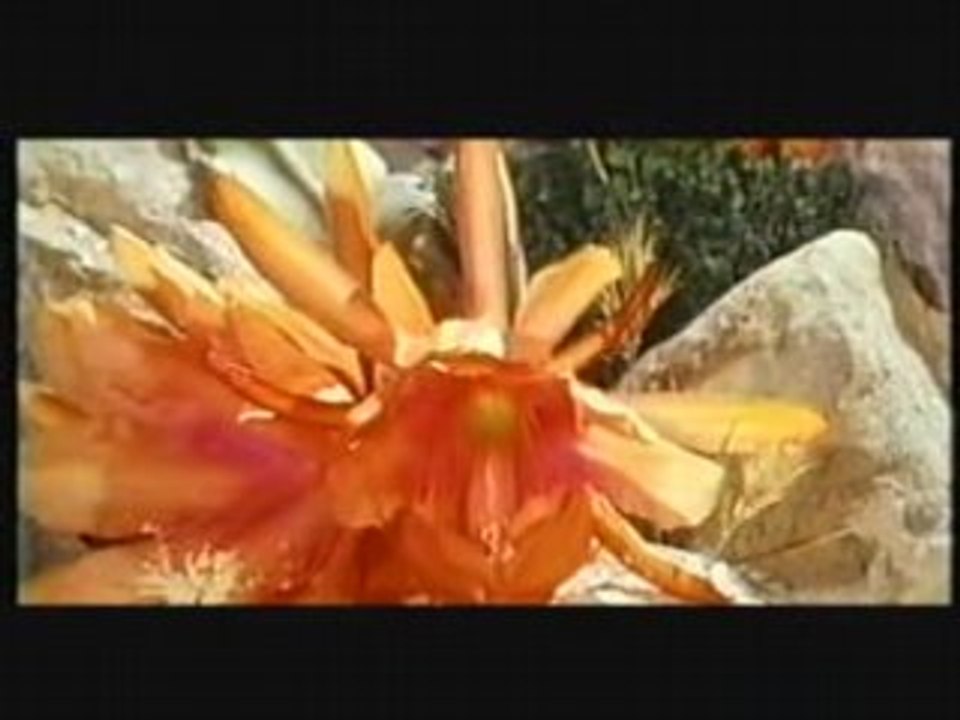 Ndrina Ramamonjy - Andriamnitra fitiavana