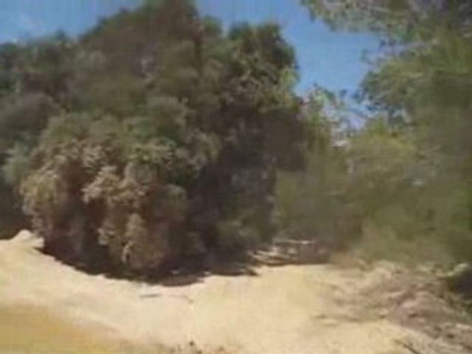 Terrain de cross
