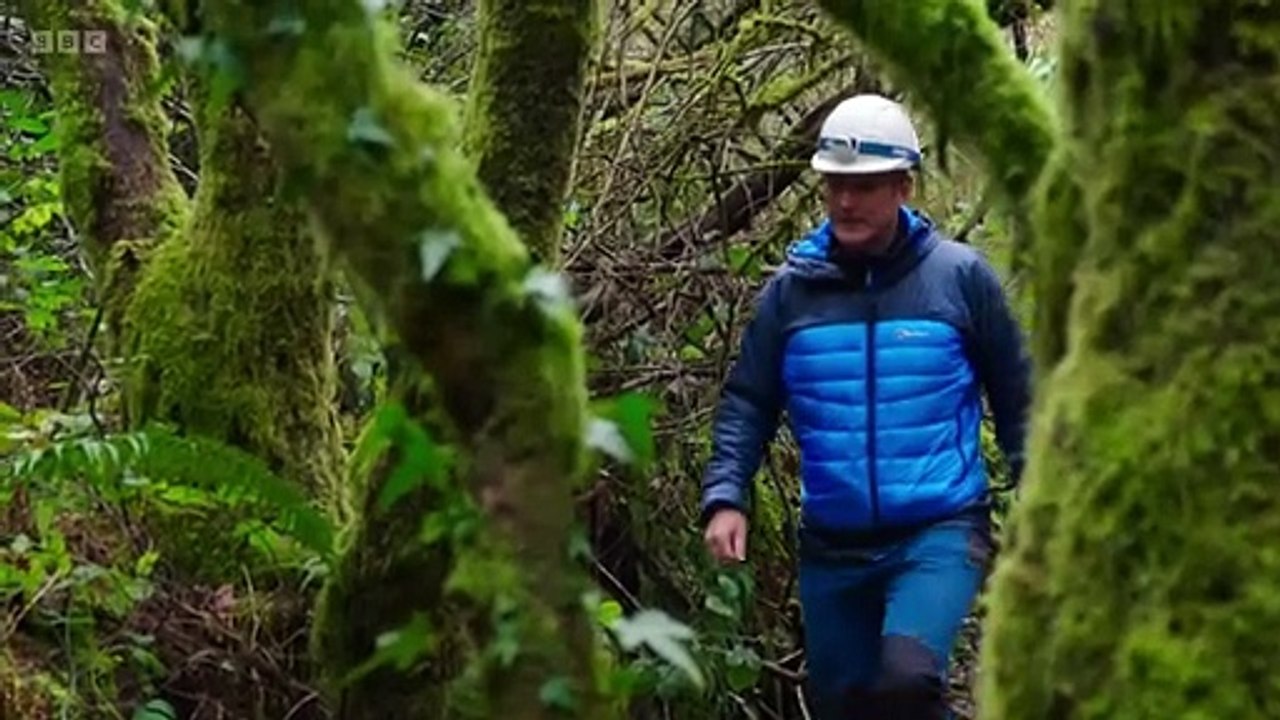 Winterwatch Winterwatch in Wales S01E01 Taking Refuge