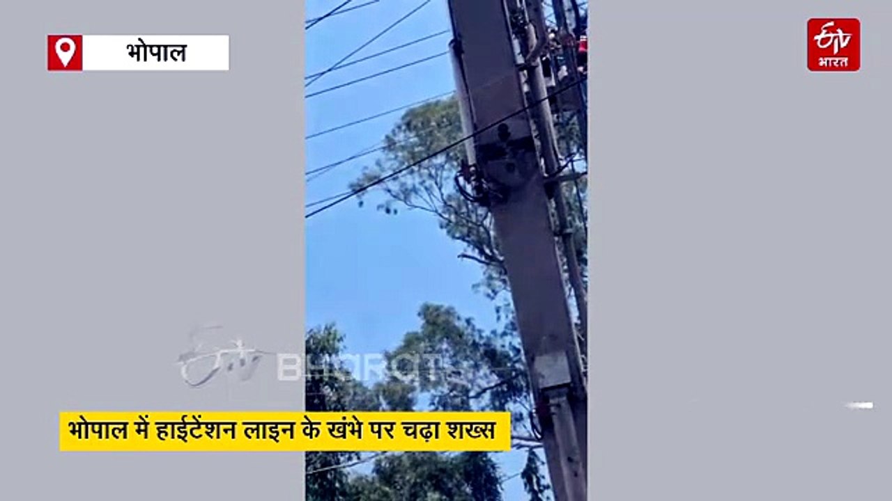 हाईटेंशन लाइन के खंभे पर चढ़, नंगे तारों पर चलने लगा युवक, खौफनाक मंजर देख अटकी सांसे