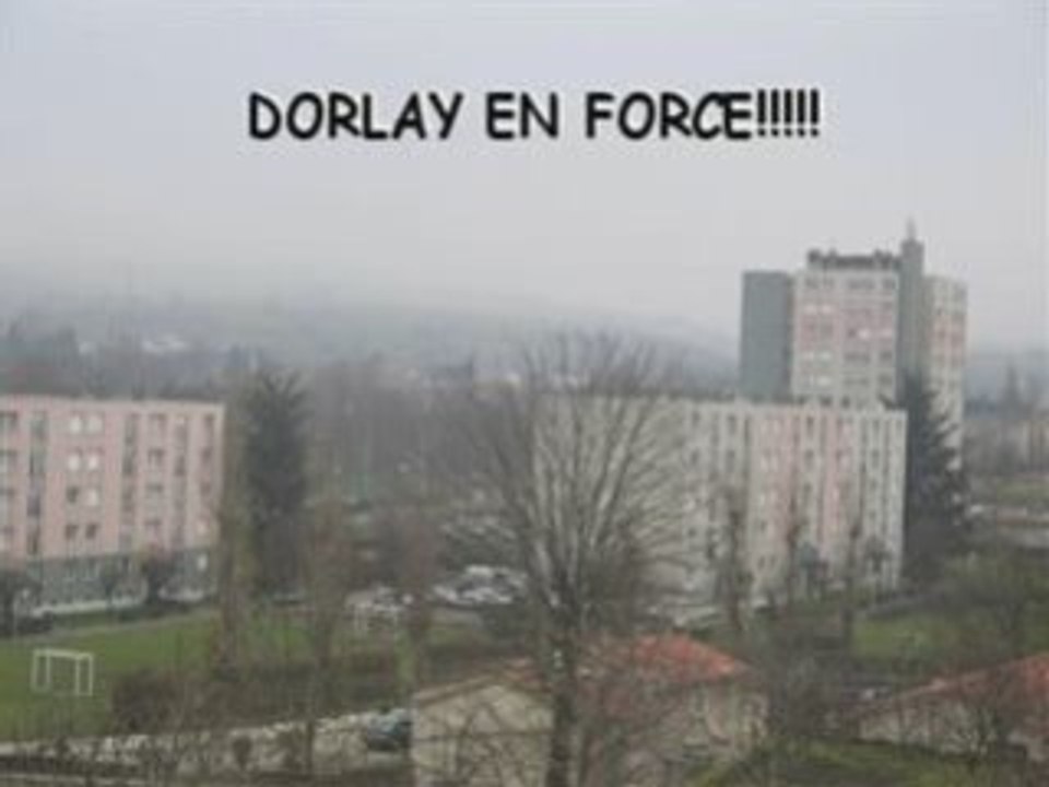 Tarko210608