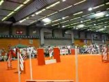 Agility Brussels Dog Show 2008