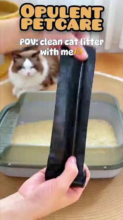 Cat Litter Scoop with Built-In Waste Bin — Free...