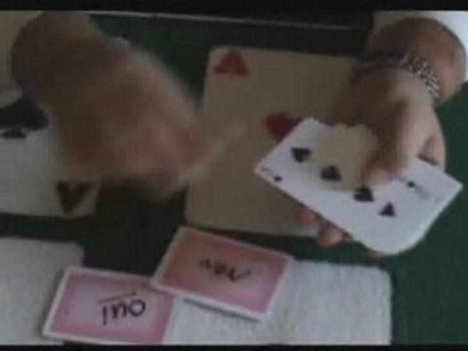 Oui-non