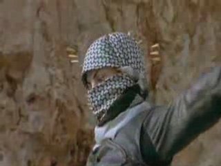 Free Palestine عاشت فلسطين