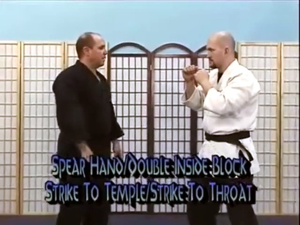 Hapkido Vol 4