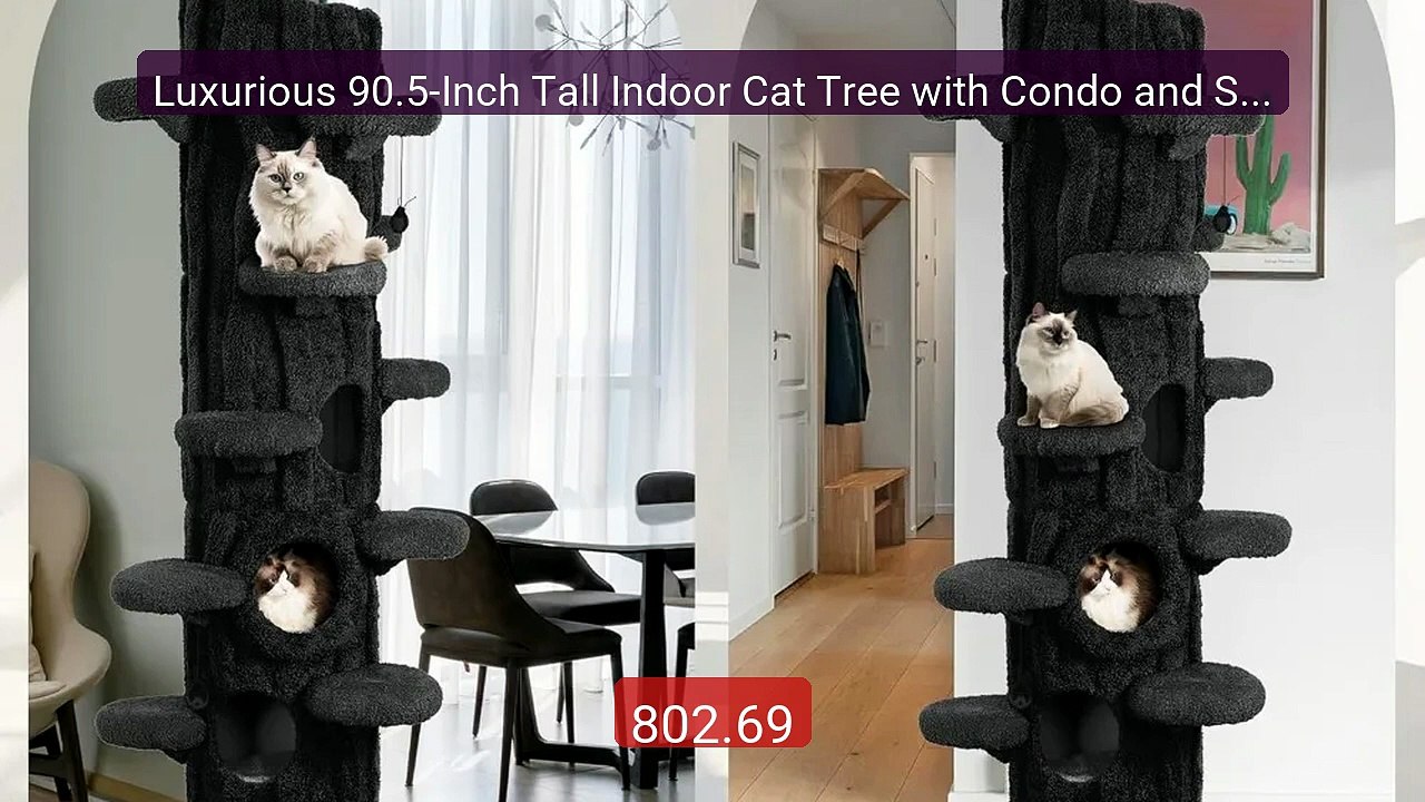 Luxurious 90.5-Inch Tall Indoor Cat Tree with Condo and Soft Cushio... -- Top Rated 2026 | Buy Now!
