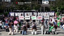 Brukselski protest wzywa UE do ograniczenia handlu z osiedlami