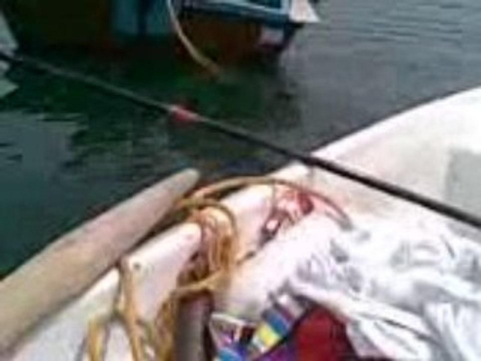 Video012