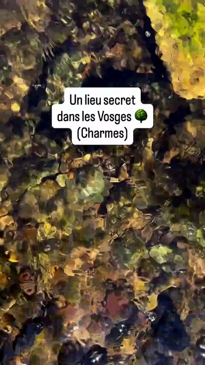 Un lieu secret dans les Vosges 🌳 (Charmes).mp4