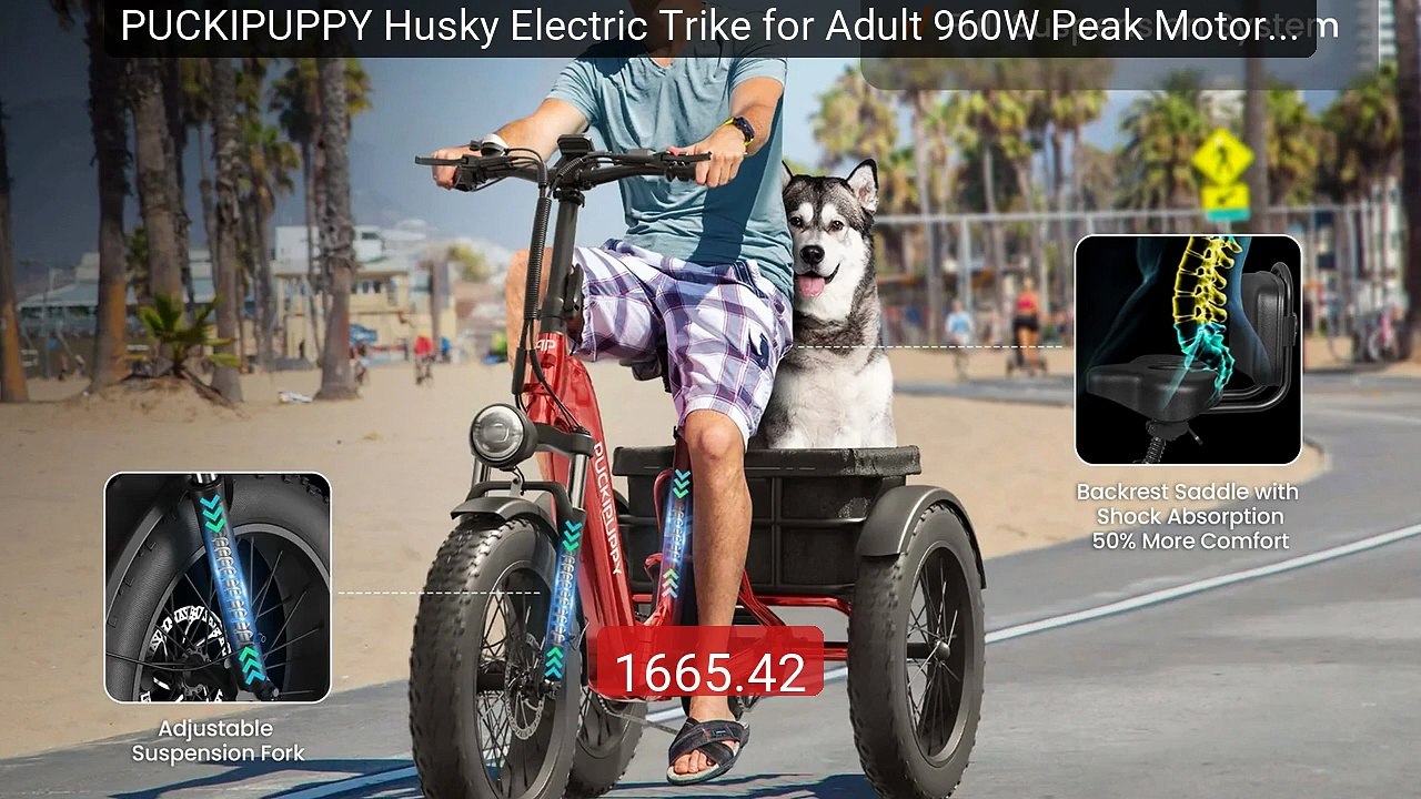 PUCKIPUPPY Husky Electric Trike for Adult 960W Peak Motor 60 M... -- Best Buy 2026 | Great Quality!