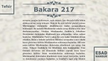 Esad Mansur - Bakara Suresi Tefsiri 217