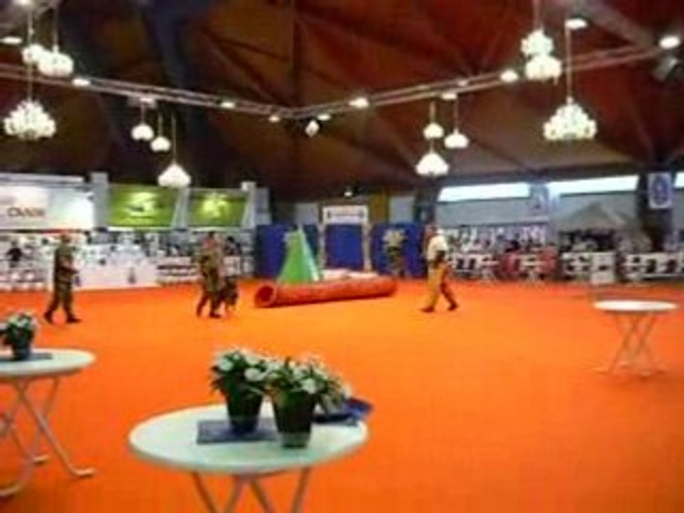Démonstration Brussels Dog Show 2008