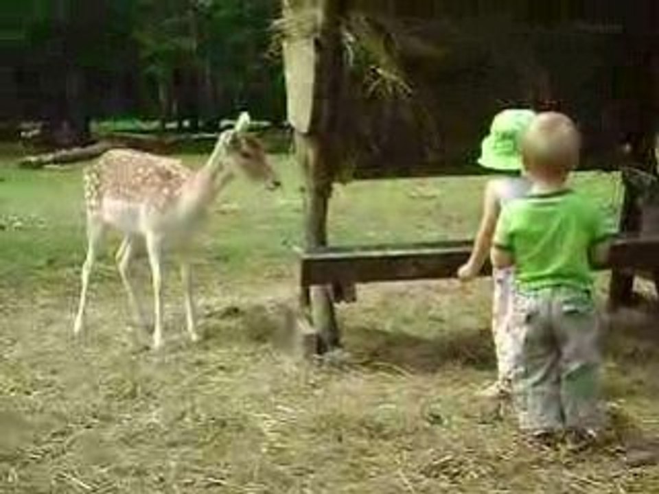Zoo 026