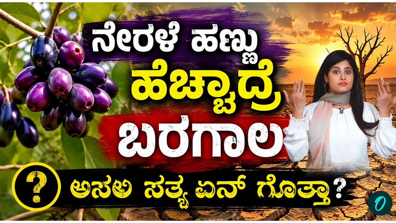 ಭೀಕರ ಬರಗಾಲದ ಆತಂಕ! ನೇರಳೆ ಕೊಟ್ಟ ಎಚ್ಚರಿಕೆ! ಪ್ರಕೃತಿ ಕೊಡುತ್ತಿರುವ ಗುಪ್ತ ಸಂದೇಶ!