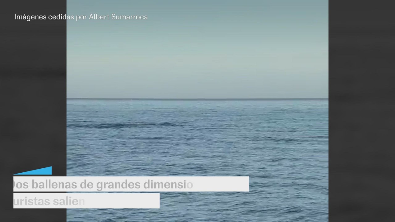 Las ballenas en El Port de la Selva