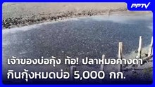 เจ้าของบ่อกุ้ง ท้อ! ปลาหมอคางดำ กินกุ้งหมดบ่อ 5,000 กก. |  เรื่องใหญ่ Live Talk | 18 มิ.ย. 69