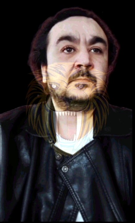 SERDAR ŞİMŞEK TİGER EYE