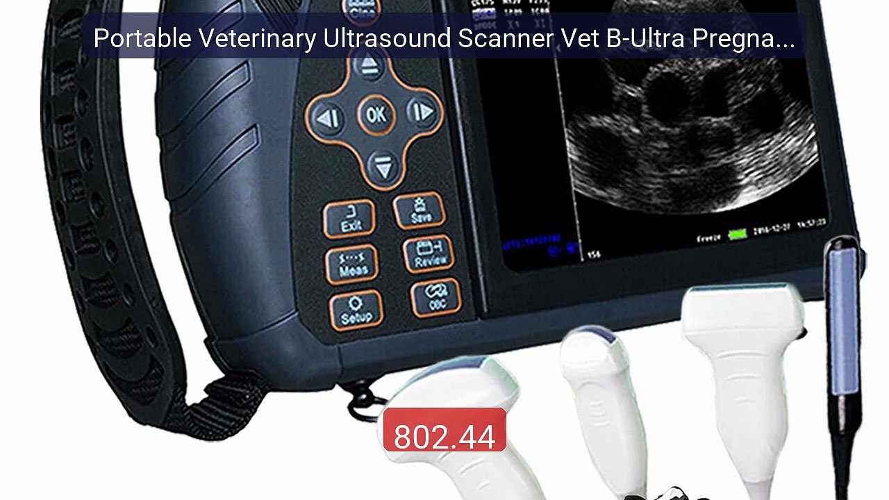 Portable Veterinary Ultrasound Scanner Vet B-Ultra Pregnancy M... -- Best Buy 2026 | Great Quality!