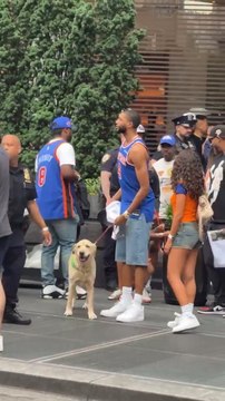 Mikal Bridges' dog arrives at Knicks' championship parade