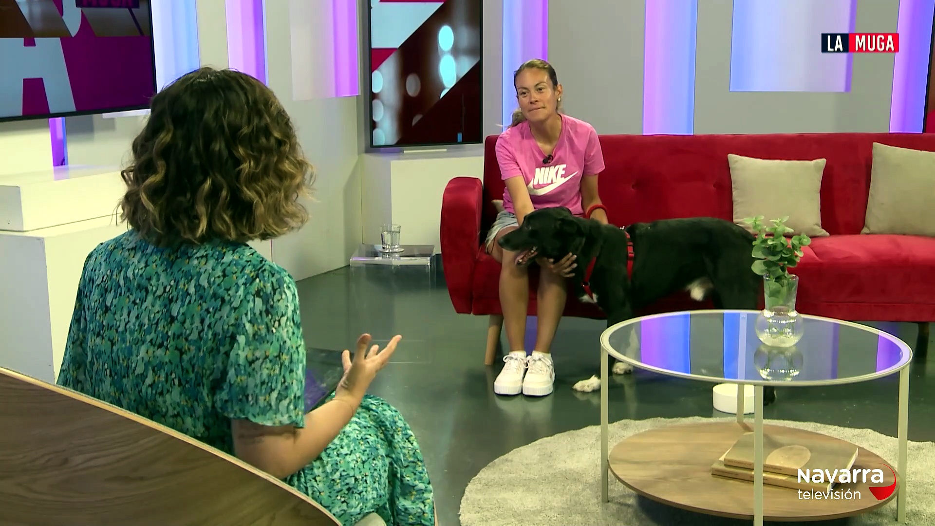 Adoptamos a Negu, un mestizo de 6 años que necesita adopción urgente