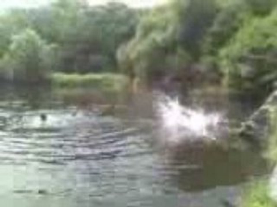Chasseur de baleine