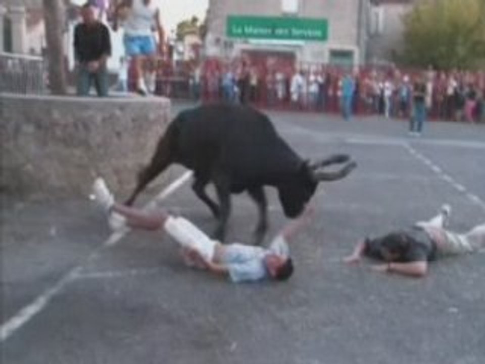 Vidéo toro de hier a .....