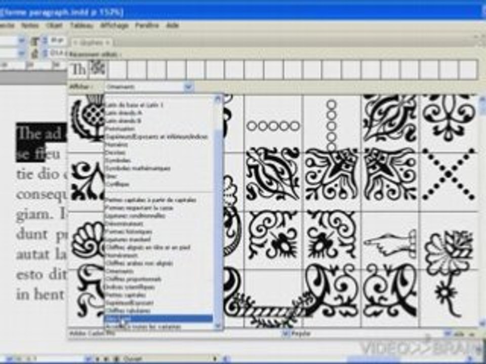 Polices Open-Type et glyphes dans InDesign CS3