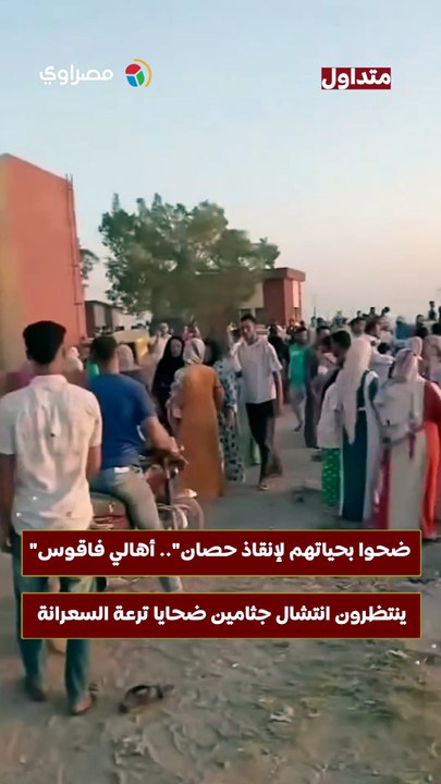 "ضحوا بحياتهم لإنقاذ حصان".. أهالي فاقوس ينتظرون انتشال جثامين ضحايا ترعة السعرانة