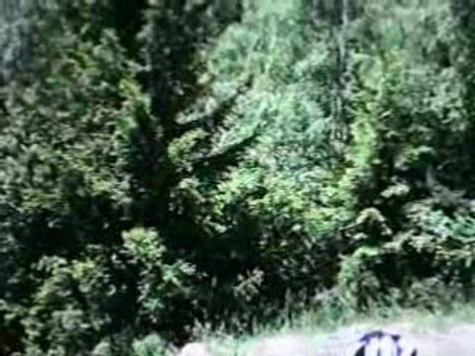 CHUTE DECSENTE DE VENOSC LES 2 ALPES