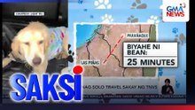 Golden retriever, nag-solo travel sakay ng TNVS | Saksi