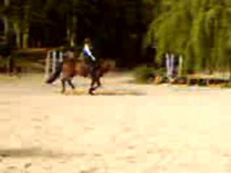 au galop