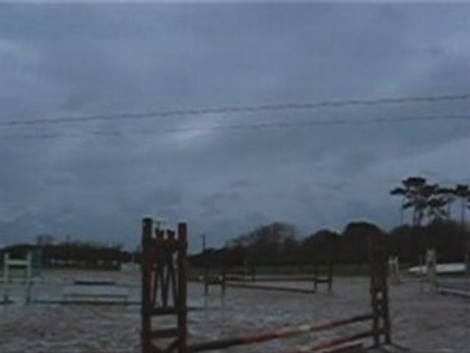 Les chevaux et moi
