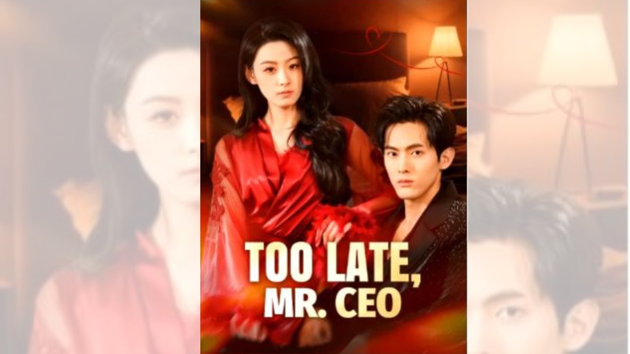 Too Late, Mr. Ceo Full Hd Mega