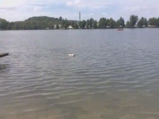 22/06/2008 comme un poisson dans l'eau