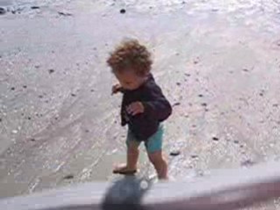 Genêt le 24 juin 2008