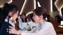 Secretary Su, This Will Not Happen Again 苏秘书下不为例